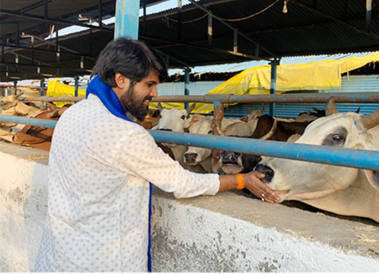 गौ सेवा