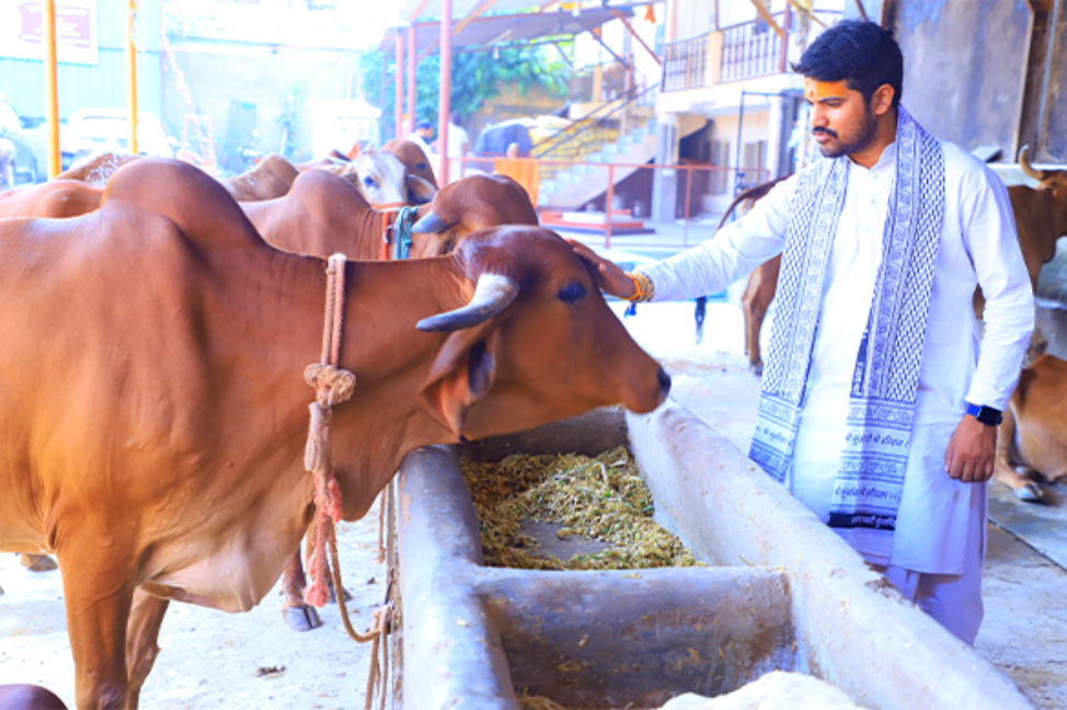 गौ सेवा